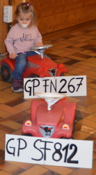 Der Fuhrpark